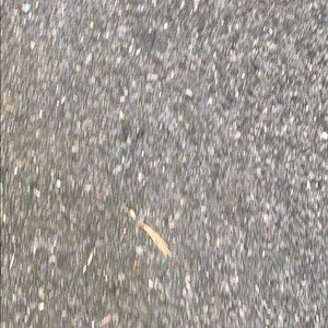 Meet your Posher, Billy